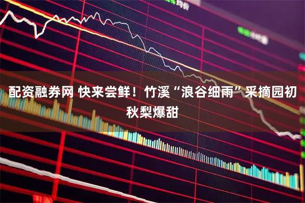 配资融券网 快来尝鲜！竹溪“浪谷细雨”采摘园初秋梨爆甜